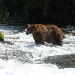 We name him Fat Joe ❤