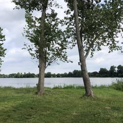 Campingplatz Radeburg , Blick von unserem Stellplatz aus