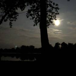 .Mondschein über dem See