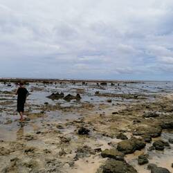 Low tide