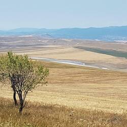 Im Hintergrund die Weinberge von Sagaredscho