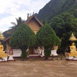 Kung Fu Monks