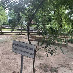 Das Killing Field