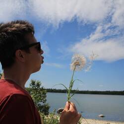 Pustebäckchen & Riesenpusteblume.