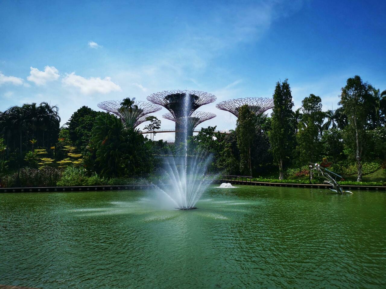 Garden by the Bay