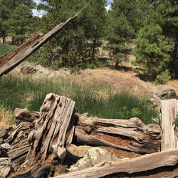 Railroad Trestle Ruins