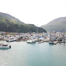 Whittier harbor.