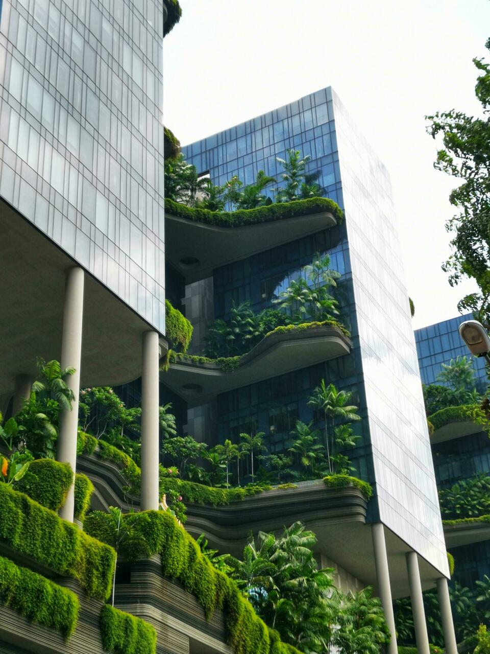 Singapur ist wirklich sehr grün