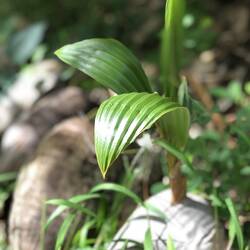 Life is born every day.