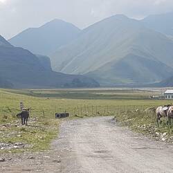 Phantastische Landschaften