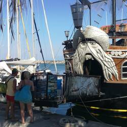 Im Schutz der Piraten