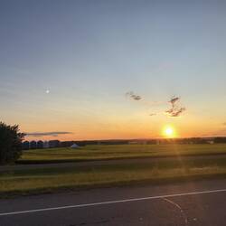 Gelbe Felder im Sonnenuntergang.