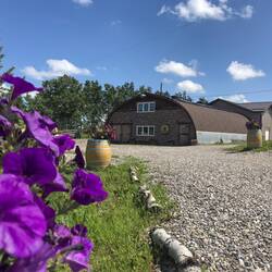 Das schöne Weingut