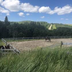 Becca reitet eins der Pferde