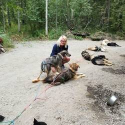 The big dogs!
