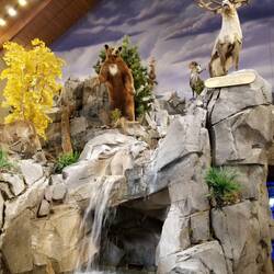 Cabelas version of wildlife!