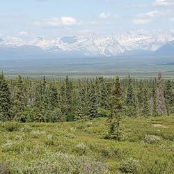 Mountain view from the Highway