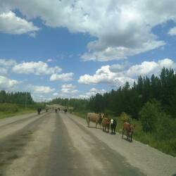 ... am Highway 20