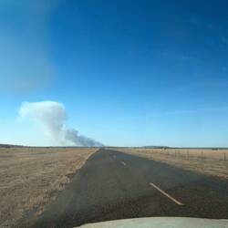 Normalität in Australien