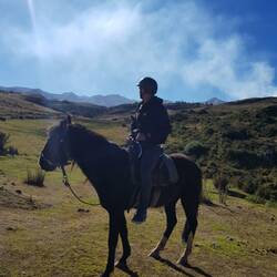 Ich saß auch wirklich drauf