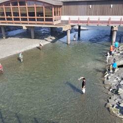 Ship Creek salmon fishing