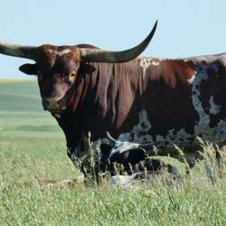 Der hatte Glück👍Nur er und 15 junge Weiber🤪 wenn ich nur nochmal jung wäre😉