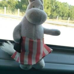 Miss Moumon popping out for the day