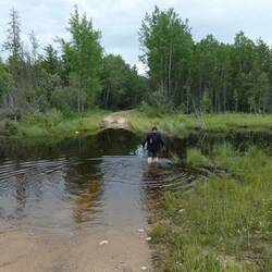 Keine Durchkommen😪 (gebranntes Kind / BAM Russland)
