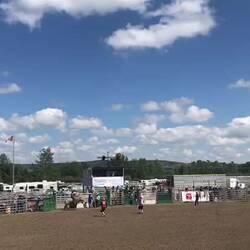 Dieser Reiter konnte nicht bis zum Endsignal draufbleiben. Aber an dem Tag wurde keiner verletzt.