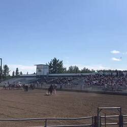 Slalom. Die meisten Teilnehmer haben nur 16-18 Sekunden für drei Umdrehungen gebraucht