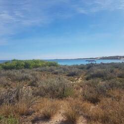 Town beach