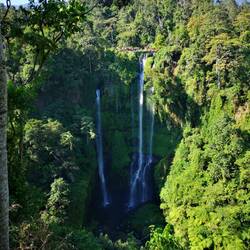 Sekumpul Wasserfall