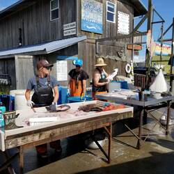 Some one has to gut and clean all the fish caught here...