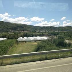 Many crops at Berat, Albania