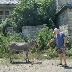 Steve making friends with the Winery donkey