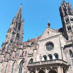 Freiburg cathedral
