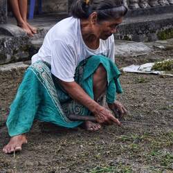 Die traditionelle Art, Rasen zu mähen