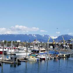 Back in Homer, beautiful day!