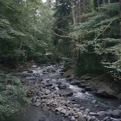 Spaziergang am Fluss entlang..