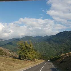 Wie im Schwarzwald