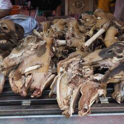 Gericht das wir nicht gegessen haben bzw. Nicht getraut - Lammkopf, Gebiss und Zunge sollen besonders gut sein