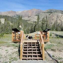 Tom and Auggie enjoying the view