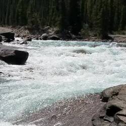 Video, Mistaya Canyon Falls