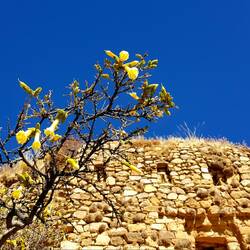 Tempel auf der Isla del Sol