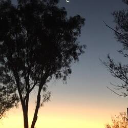 Sunset on the desert