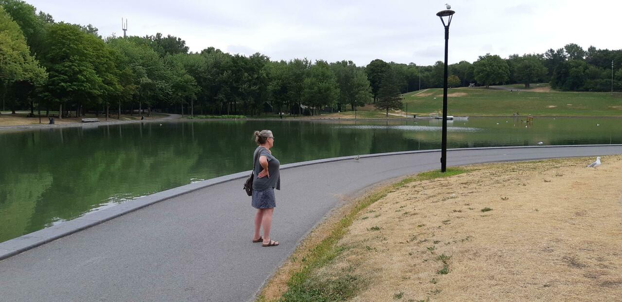 Beaver Lake