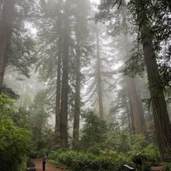 Ladybird Grove - Sophie voll informiert