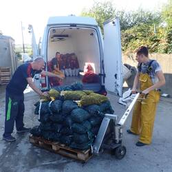 Mr Hegarty & his mussels