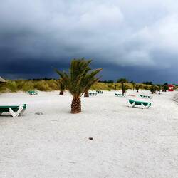 Palmenstranden