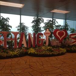 Changi Airport, Singapur